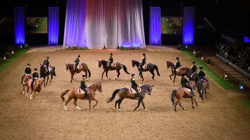 Saumur : au Cadre Noir, demandez le programme ! 