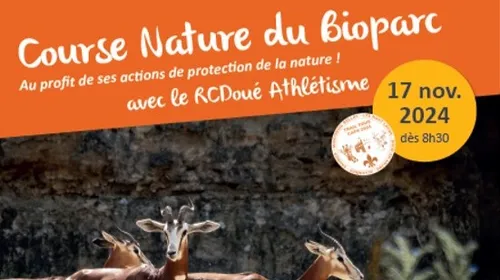 Agenda des sorties du 8 au 11 novembre 