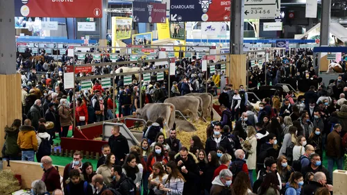Salon de l’agriculture 2024 : dans quelles conditions va-t-il se...