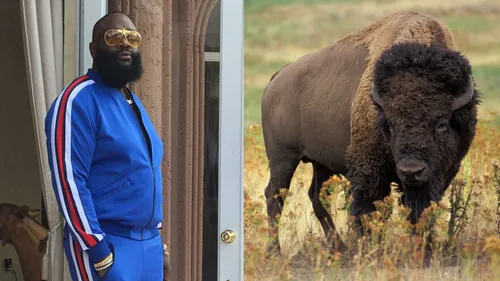 Rick Ross : ses voisins à bout à cause... de ses buffles