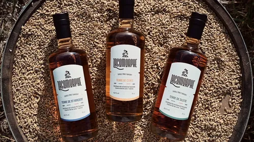 De la vodka, du gin et maintenant du whisky distillés dans le...