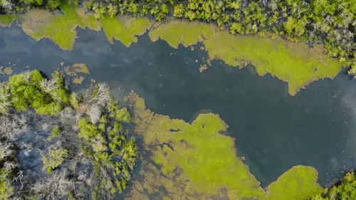  Les 4 infos du jeudi 30 novembre