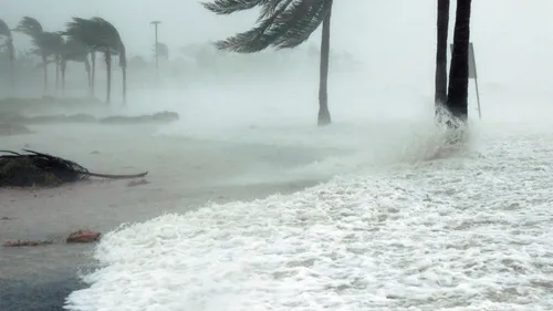 Les 4 infos du lundi 15 janvier