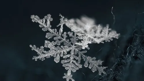 Les 4 infos du mercredi 17 janvier