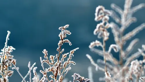 Les 4 infos du lundi 8 janvier