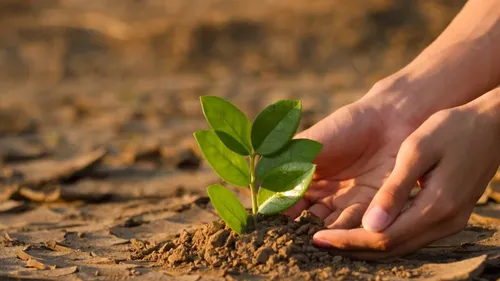 Les 4 infos du mardi 12 décembre