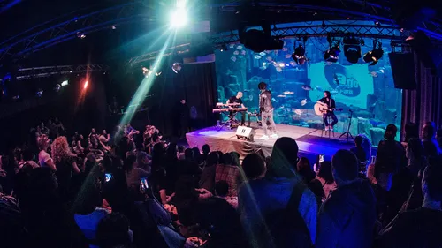 Matt Houston, Craig David, Shaggy… Les concerts privés Ado, ces...