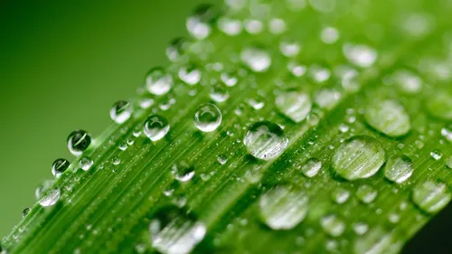 Les 4 infos du 25 septembre