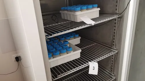 Allaitement : le lactarium d’Orléans lance un appel aux jeunes mamans 