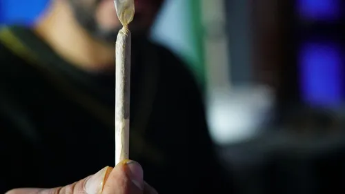 Légalisation du cannabis : après l’Allemagne, la France ? 
