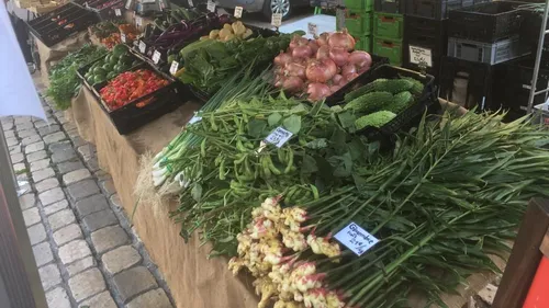Loir-et-Cher : des légumes asiatiques cultivés à Blois