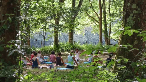  Le programme des Nuits des forêts partout en France 