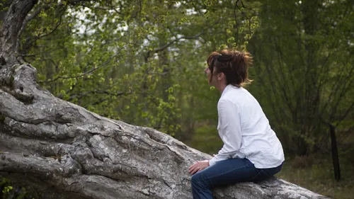 Santé : les bienfaits des « bains de forêt » à Orléans 