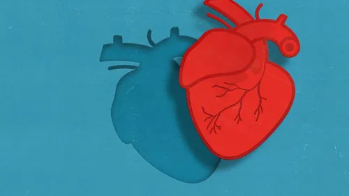 Journée mondiale du don d’organes : « chacun d’entre nous est un...