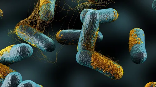 Botulisme : la patron du Tchin Tchin Wine Bar placé en garde à vue 