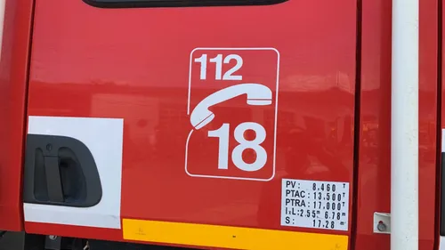 Quatre chats et un chien périssent dans l'incendie d'une maison