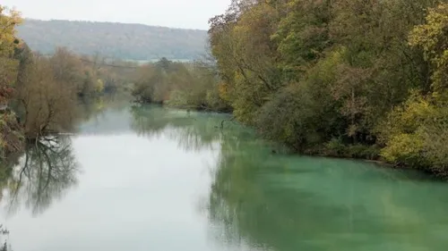 Une pollution au latex détectée dans la Meuse. 