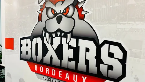Hockey-sur-glace (Ligue Magnus) – « Il y a de l'ambition dans le...