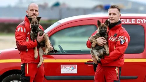 Les pompiers de la Gironde accueillent Vulcain et Véa