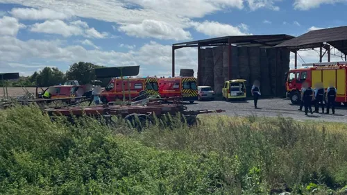 Un enfant perd la vie lors d'une sortie à la ferme.