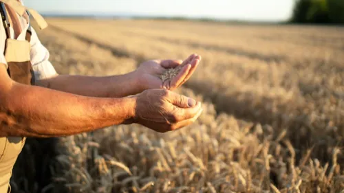 Marne : un appel aux dons pour soutenir les agriculteurs en grande...