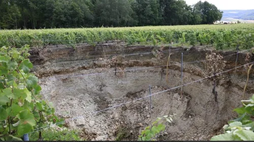 Une parcelle de vignes s’effondre