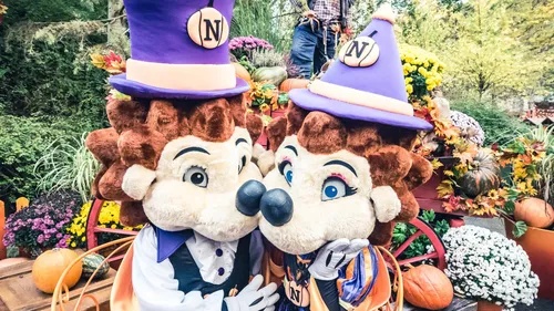 Affluence "monstre" à Nigloland pour Halloween