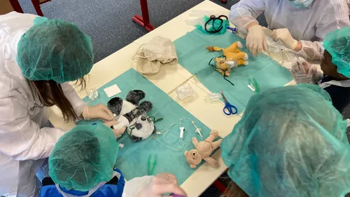 Reims: découvrez l'hôpital des nounours 