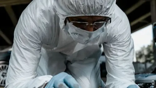 Macabre découverte dans une friche du centre-ville.