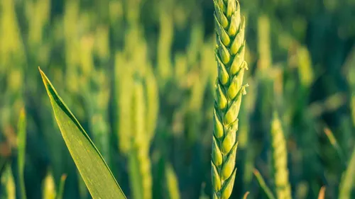 Place à l'Agri à Châlons-en-Champagne 