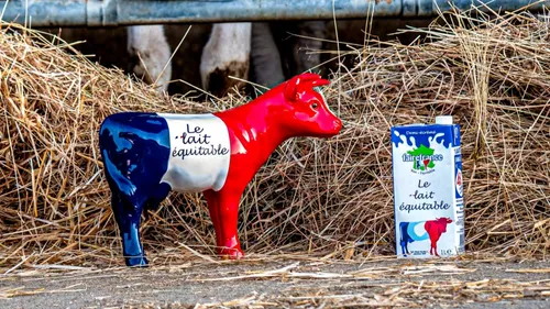 Colère des agriculteurs : une distribution gratuite de lait