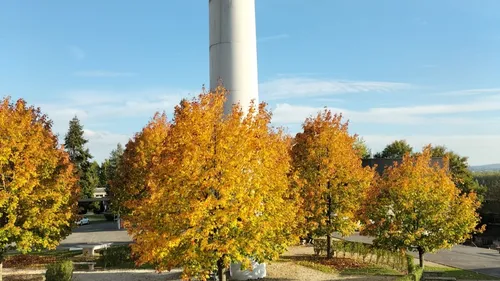 À Charleville, le lycée Bazin propose la formation de techniciens...