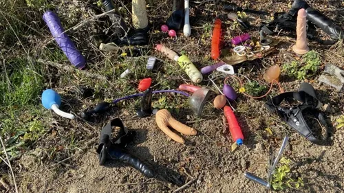 Une collection de sextoys découverte dans un bosquet  