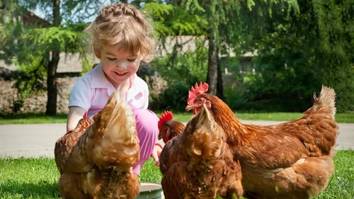 48 fermes auboises et haut-marnaises vous ouvrent leur porte ce...