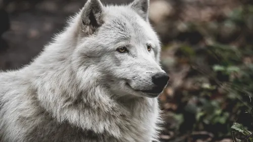 Parc Argonne découverte : la saison est lancée ! 