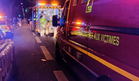 Un utilitaire percute un chevreuil sur l'A61 près de Castelnaudary...