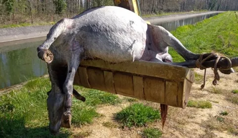 Hautes-Pyrénées : appel à témoignages après la terrible découverte...