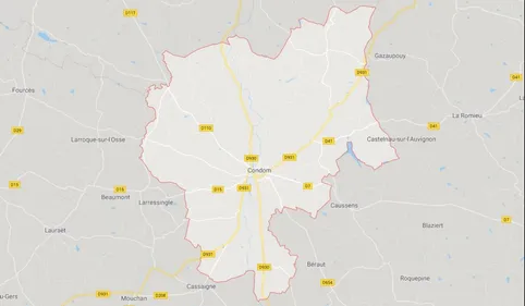 Un tarnais dans un arbre à Condom