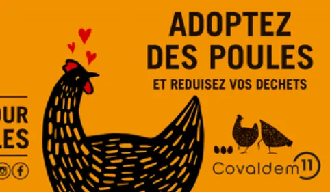 Réduire ses déchets ménagers avec des poules, le projet audois...
