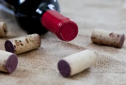 La colère des vignerons