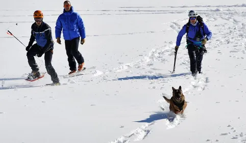 Une nouvelle "maison" pour les chiens du PGHM