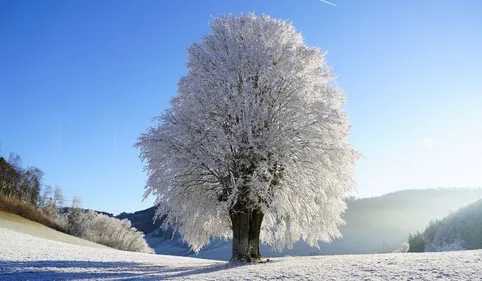 Une semaine très froide arrive