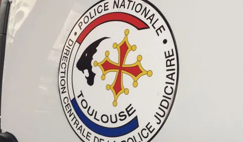 EXCLUSIF : Un pédophile de Muret interpellé lors de la série...