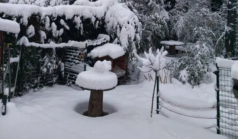 La tempête Filomena a débordé plus que prévu sur le sud de l'Occitanie