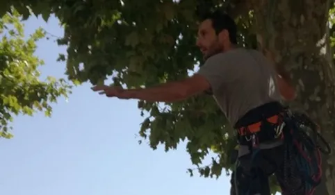 Thomas Brail devant le Ministère de l'écologie pour les arbres de...