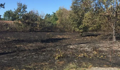 Incendies de Villaudric : un individu interpellé par les gendarmes 