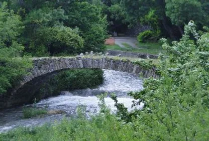L'écologie pour les enfants