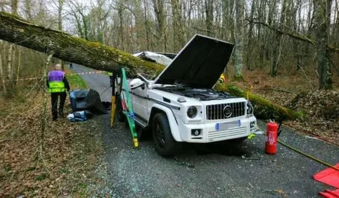 Un automobiliste meurt écrasé par un arbre à Gourdon