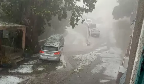 Aude. La grêle laisse "des arbres hachés menu" dans un petit...