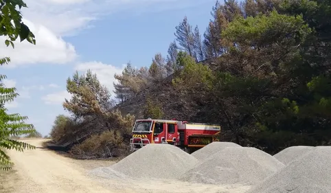 "Traumatisant", "monstrueux" : l'incendie du massif de l'Alaric a...